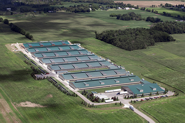 닝보 분석기 유한 공사